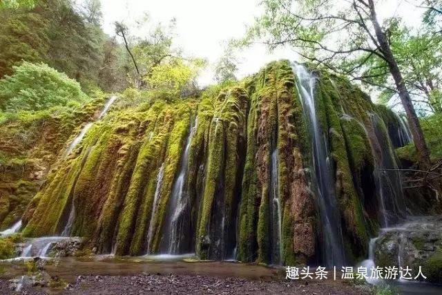 【青眼看非遗】永春纸织画：不破不立的艺术